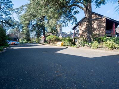 Picture 25